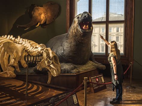 ugtowe|O Muzeum .